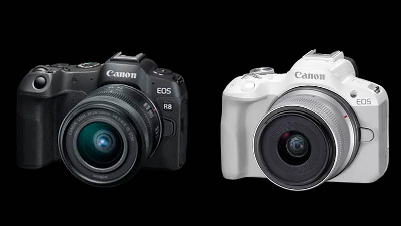 Canon agrega la EOS R50 y la EOS R8 al creciente sistema de cámara sin espejo EOS R