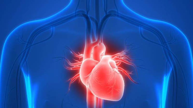 Cinco tipos de insuficiencia cardíaca identificados utilizando herramientas de IA
