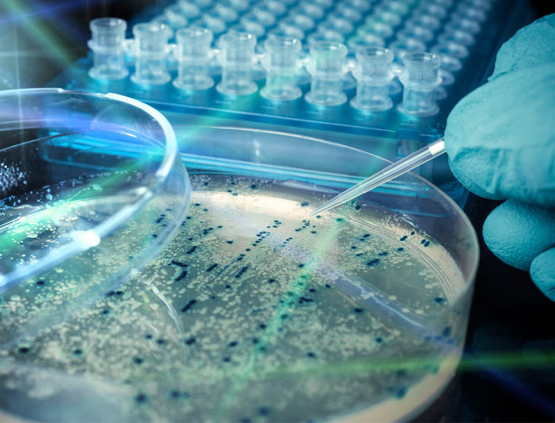 El equipo de Texas A&M desarrolla polímeros que pueden matar bacterias