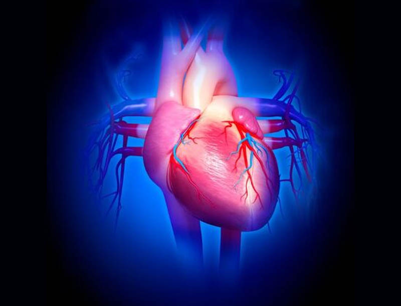 La estrategia de detección de dos pasos podría reducir la insuficiencia cardíaca diabética